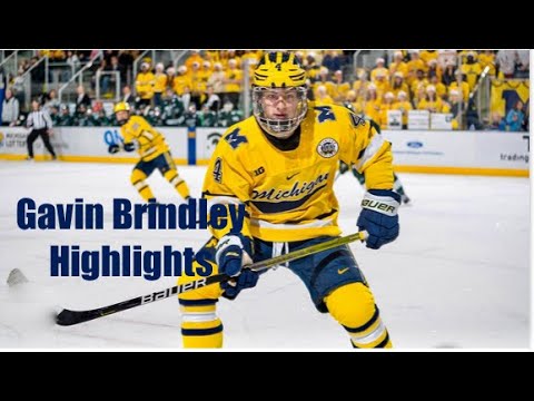 Gavin Brindley Hockey Highlights