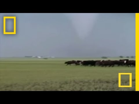 Tornado Destruction