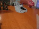 battle report 3