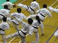 Taekwondo Demonstration for All Styles Martial Arts Competition (Part 3) Taekwondo Demonstration for All Styles Martial Arts Competition (Part 3)