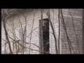 PIGMAN THE MOVIE