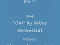 the wonderful song 