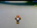 Mario Kart Wii - Time Trial - Flap - Coconut Mall - 41 seconds