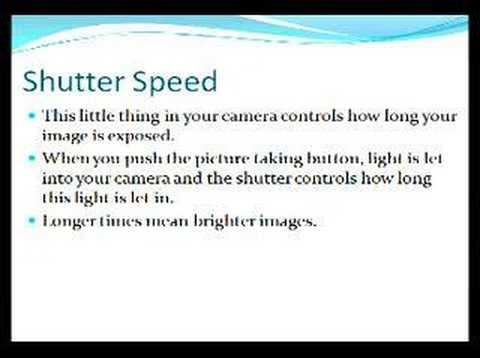 Beginners Photography Tips - Digital Photography Tips