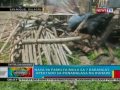 Click here to watch this video BP: Nasa 90 pamilya sa 7 barangay sa Bulacan, apektado sa pananalasa ng buhawi