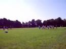 De sportdag van de Harlekijn was een succes!