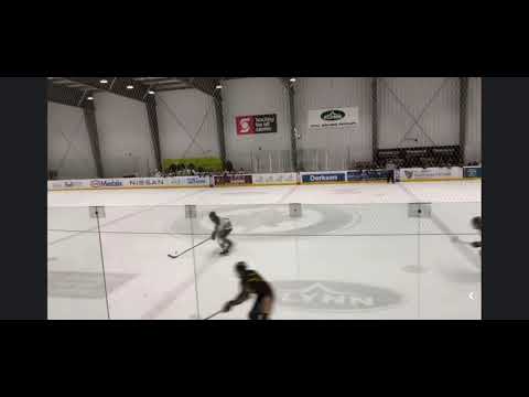 Wild Green - November 2024