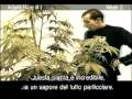Green House Arjan\