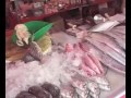 pásele marchanta pt 2