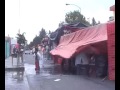 pásele marchanta pt 2