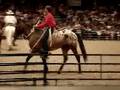 Parelli Natural Horsemanship NEC 08 - Parelli Professionals