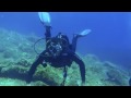 Diving with Paesino