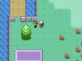 Pokemon 1. Script Test