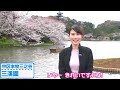 ハマナビ　2019年4月13日放送「手彩色絵葉書」でタイムトラベル！