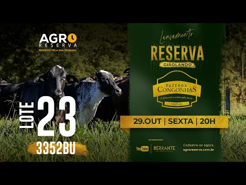 LOTE 23 - LETI JAGUAR FIV 3352BU