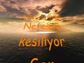 Hozan-Besir