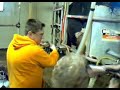 jason miles milking a cow!!