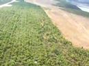 Paramotor en Andavias  Zamora 3