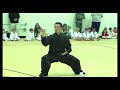 Wushu Gong Fu Demo at Chaar TKD Tournament! Wushu Gong Fu Demo at Chaar TKD Tournament!