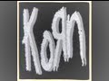 Korn-Divine