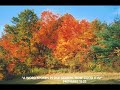 Jeremy Camp - You're Worthy of My Praise Manele-Gratis.net