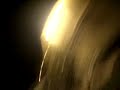 RUN BITCH RUN!!!