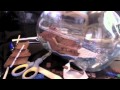 Ship in a Bottle Without Sound