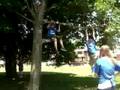 Stuck in a tree