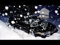 1g DSM Video