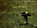 Impact sprinkler in slow motion.