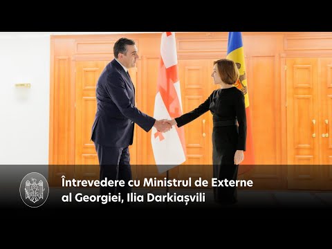 The Head of State held talks with Georgian Foreign Minister Ilia Darkyshvili