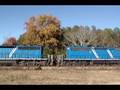 Pacing NS 335 with Bluebirds