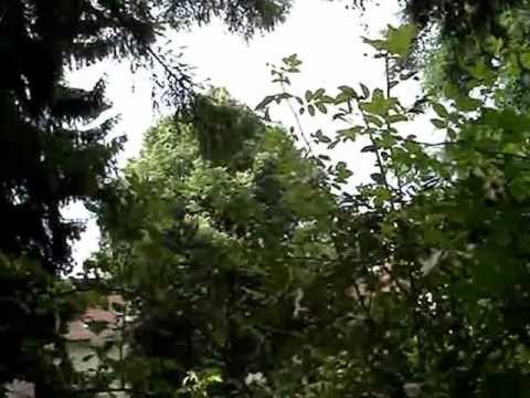 Анимационная открытка улыбка для тебя Анимационная открытка улыбка для тебя