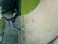 videos de halfpipe flip
