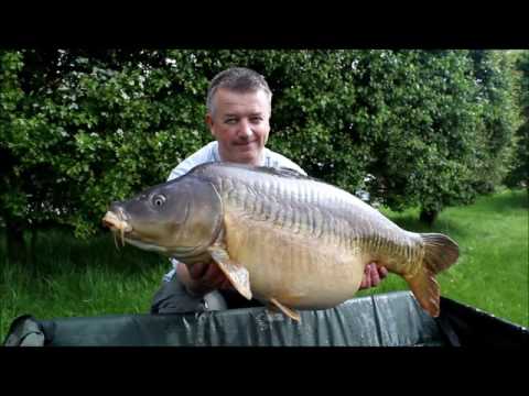 XL Carp Video