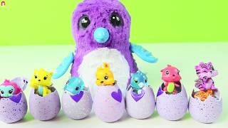 huevo gigante de hatchimals