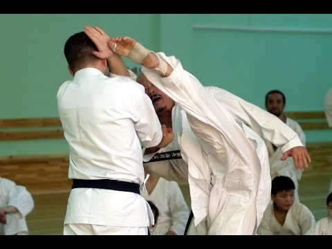 Seiji Nishimura. Seminar in Moscow 2010. Kicking Techniques