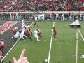Shannon Woods TD