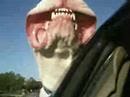 FLappy dog face in the wind