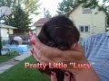 Shelby's Puppies - 4 weeks
