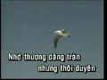 Nho nguoi tinh phu