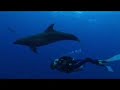 Scuba Diving in Rangiroa - Part 1