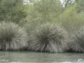 La Camargue, en voyage 