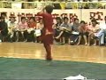 Fanzi Quan - Lightningfist