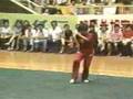 Fanzi Quan - Lightningfist