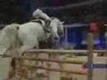 I AM EQUESTRIAN.