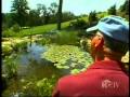 Pittsburgh Koi Pond Project