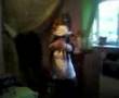 X!xMe n tha girls avin a girls nite in gettin pissed lolx!X