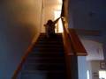 kid falls down stairs
