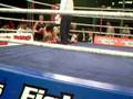 Laurent Sachs vs. Fadi Merza Thaiboxen  3x3min â 72kg